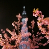 桜色