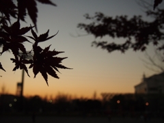 夕焼けに映える影