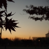 夕焼けに映える影