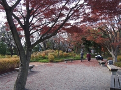 暮れる散歩道