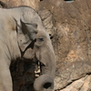 上野動物園にて