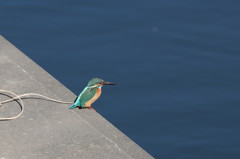 また会えてよかったゼ！