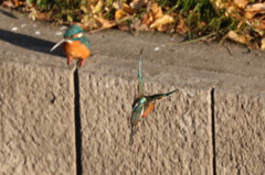 お先に行きます