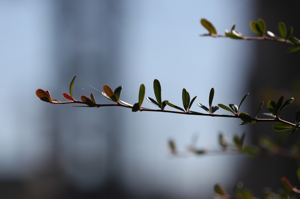 ワンパターン？