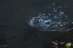 連写その１－１