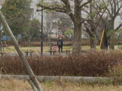 小さな公園