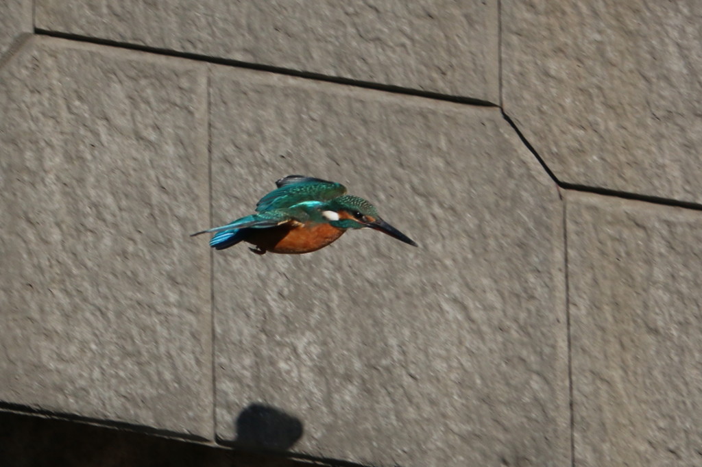 ワンパターンですが