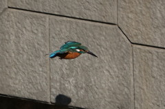 ワンパターンですが