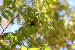 上野動物園にて