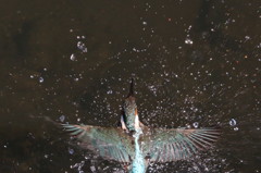 失敗ですが・・・