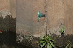 修業は続く・・・