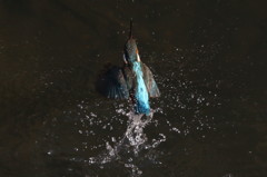 水浴びの背中２