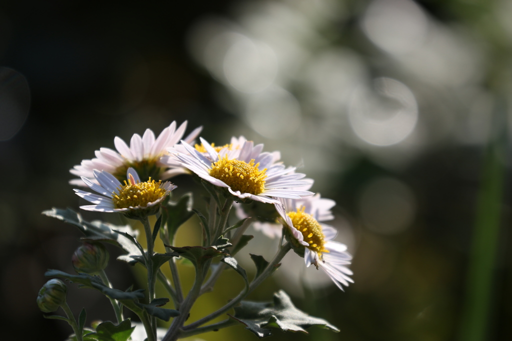 まだまだ試撮りは続く