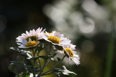 まだまだ試撮りは続く