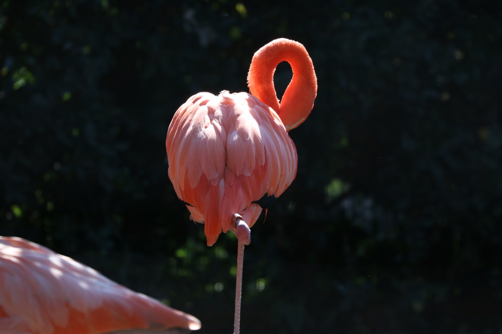 上野動物園にて