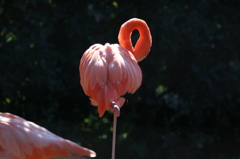 上野動物園にて