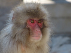 アーカイブ　カメラを始めた頃１