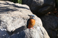 石の上にも３秒