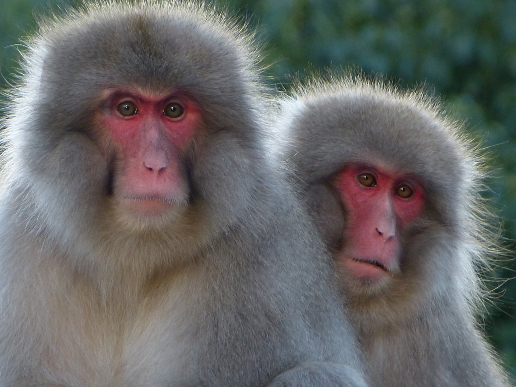 アーカイブ　カメラを始めた頃２