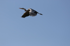 まだまだ試撮りは続く