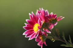 まだまだ試撮りは続く