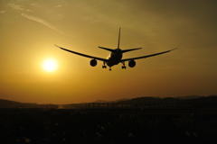 飛行機に恋をしました。