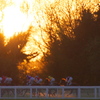日没を駆ける