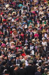 世界で一番華やかな競馬開催