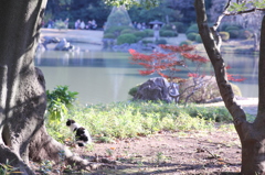 【木漏れ日の中で】