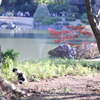 【木漏れ日の中で】