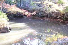 【光を浴びて】