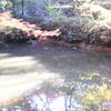 【光を浴びて】