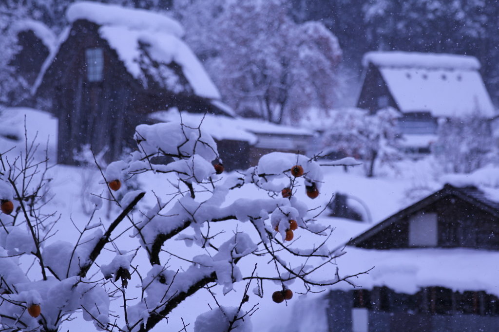 【雪に包まれて】
