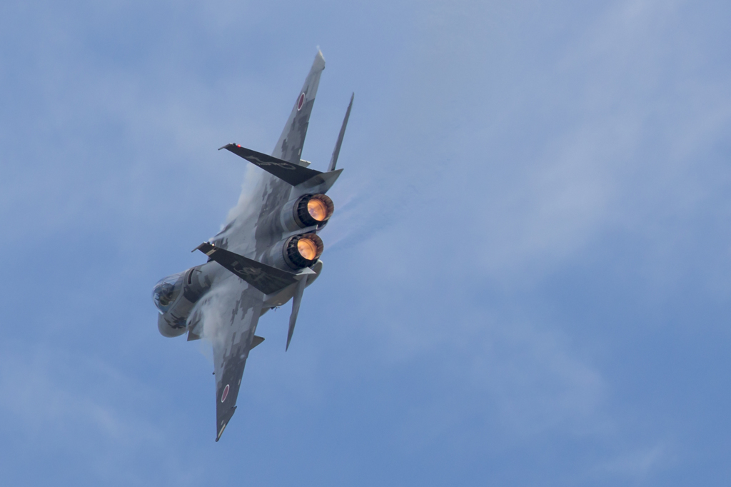 303飛行隊　航空自衛隊創立60周年記念塗装機