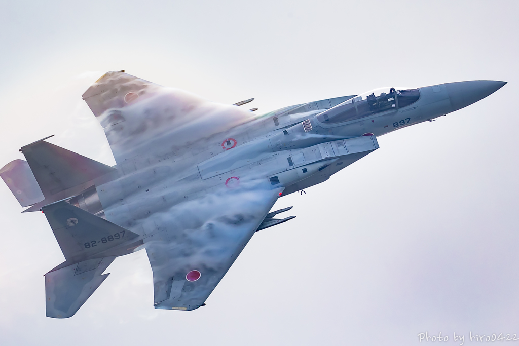 Fighting Dragon