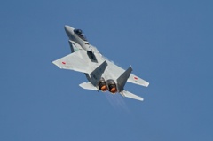 岐阜基地航空祭　F-15J　