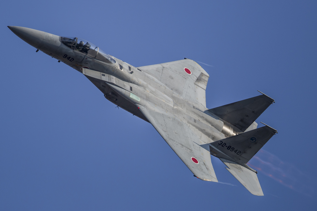 岐阜基地航空祭2014 F-15j