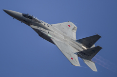 岐阜基地航空祭2014 F-15j