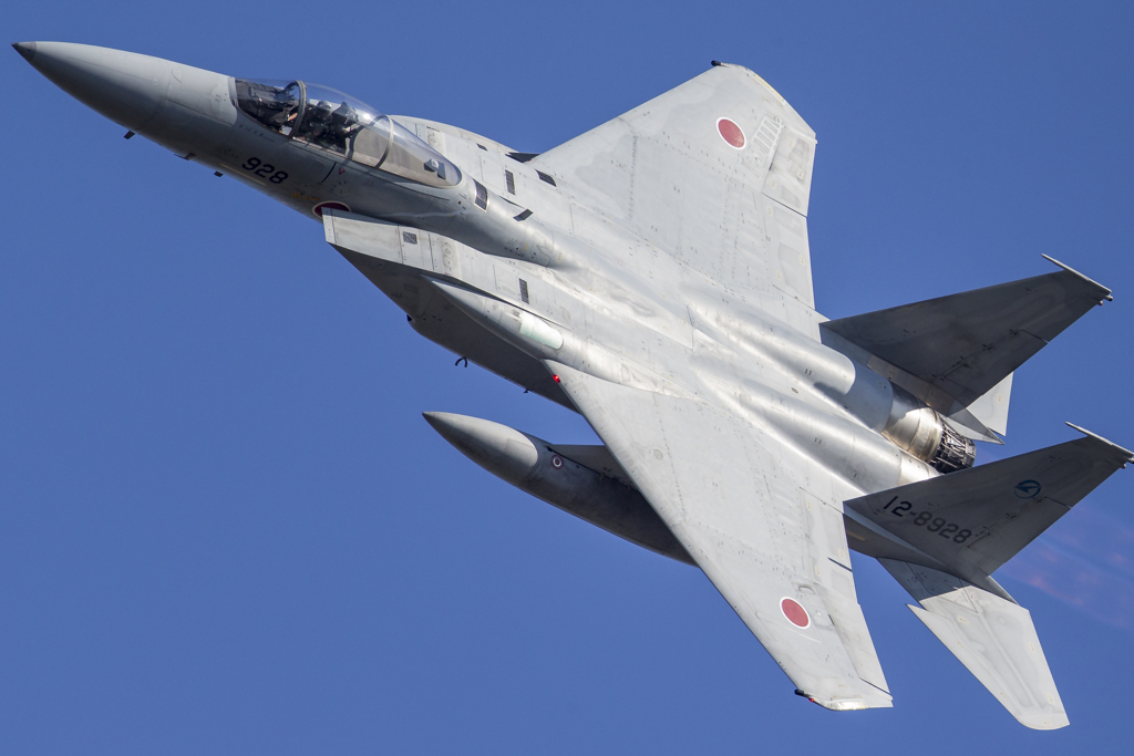 岐阜基地航空祭2019　F-15J