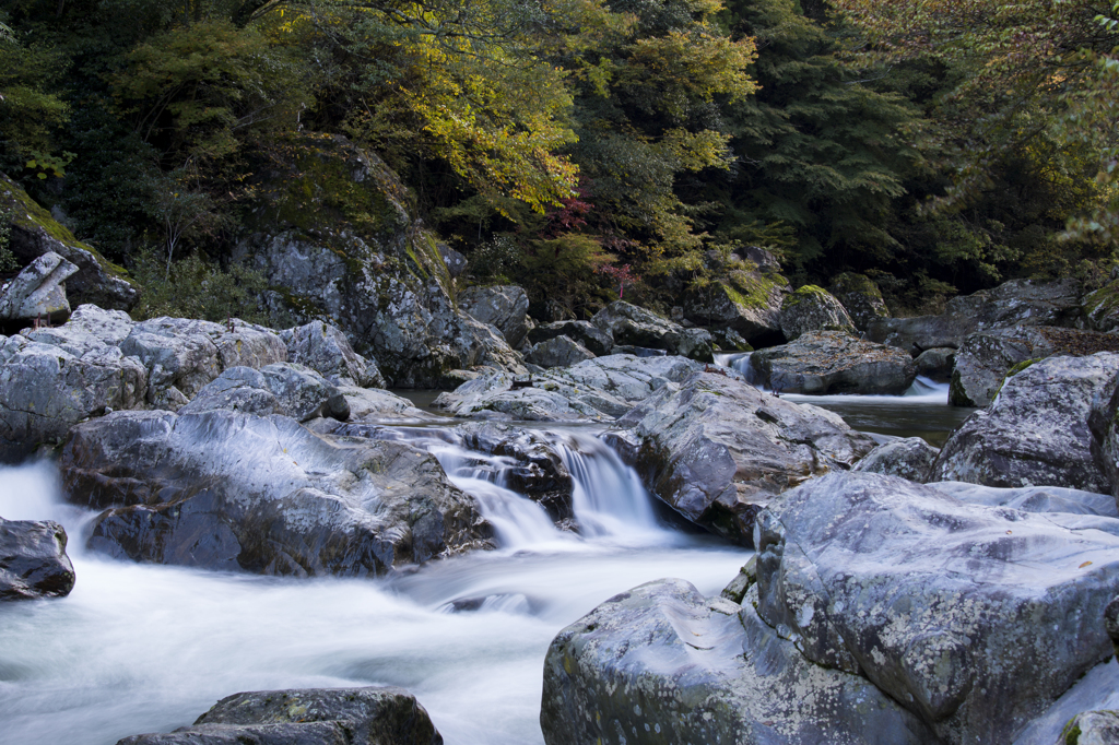 水辺の秋を探して 1