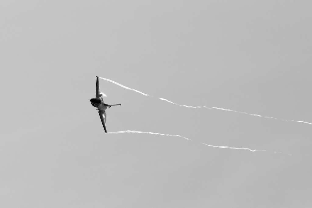岐阜基地航空祭　F-2　ベイパー