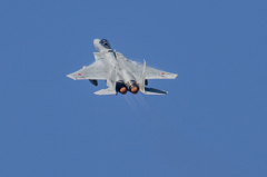 浜松基地航空祭2014 F-15J