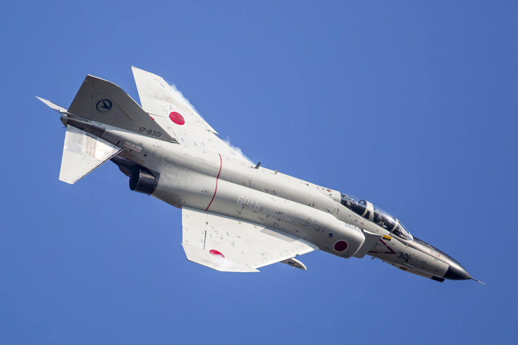 岐阜基地航空祭2014