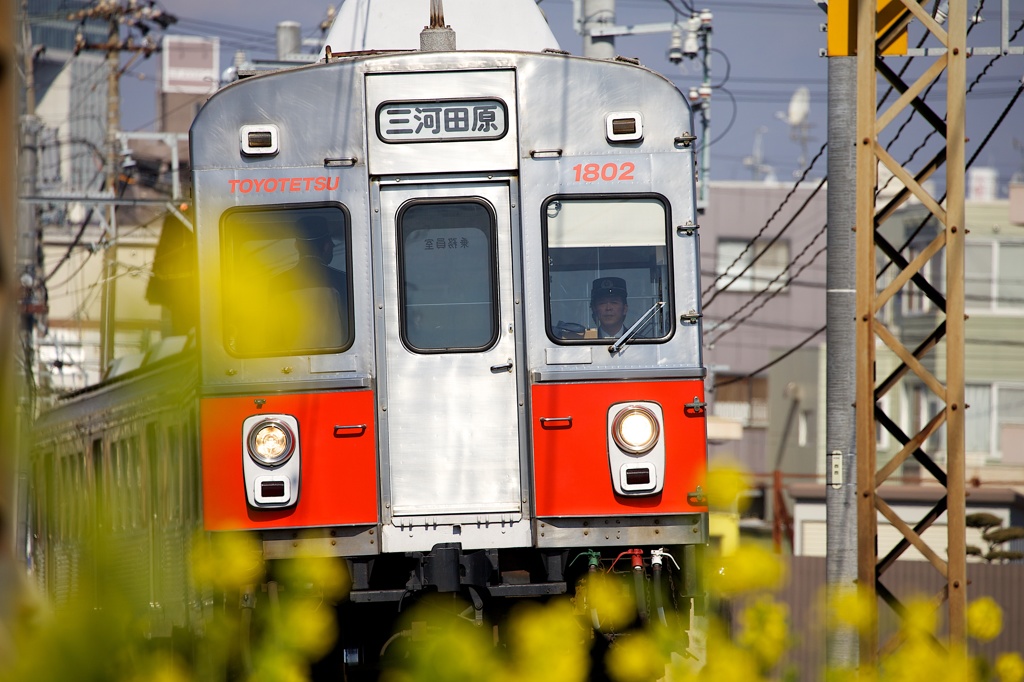 春色の電車