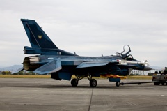 F-2変わり種