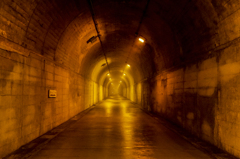 黄金のトンネル