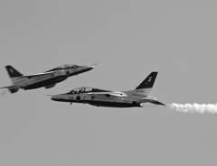 浜松基地航空祭のブルー