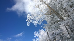 空と雪のコントラスト