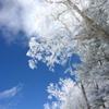 空と雪のコントラスト