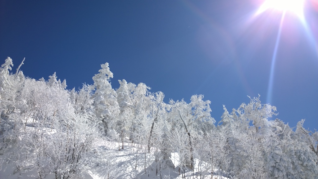 太陽降り注ぐ雪山